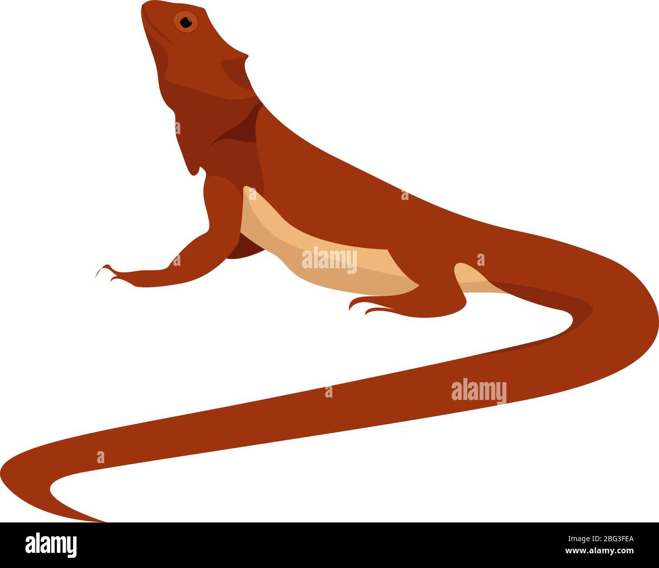 Dragon barbu oriental, illustration, vecteur sur fond blanc. Illustration de Vecteur