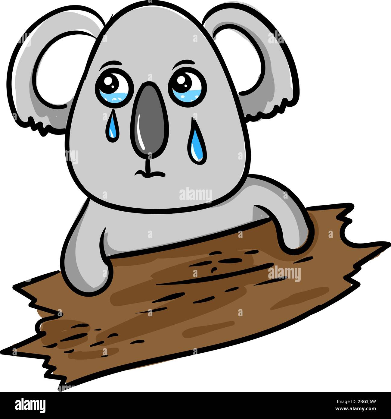 Pleurs koala, illustration, vecteur sur fond blanc Illustration de Vecteur
