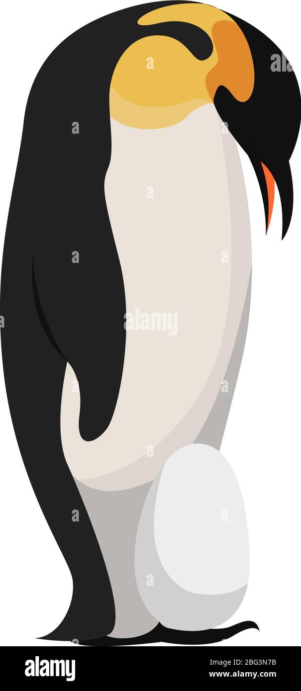 Papa pingouin avec oeuf, illustration, vecteur sur fond blanc Illustration de Vecteur