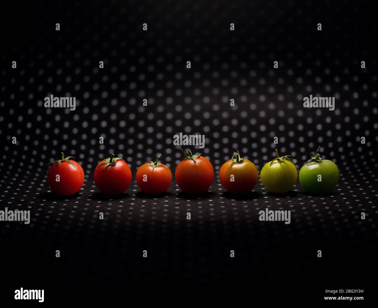 Rangée de tomates multicolores Banque D'Images