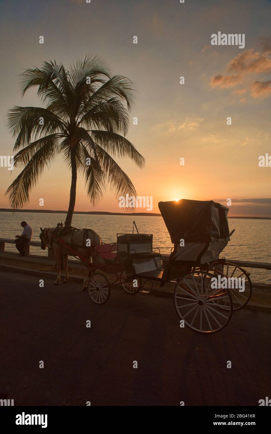 Voiturette à cheval au coucher du soleil, Punta Gorda, Cienfuegos, Cuba Banque D'Images
