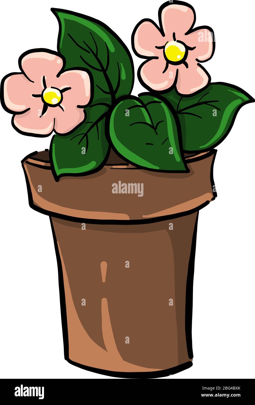 Fleurs plates en pot brun, illustration, vecteur sur fond blanc Illustration de Vecteur