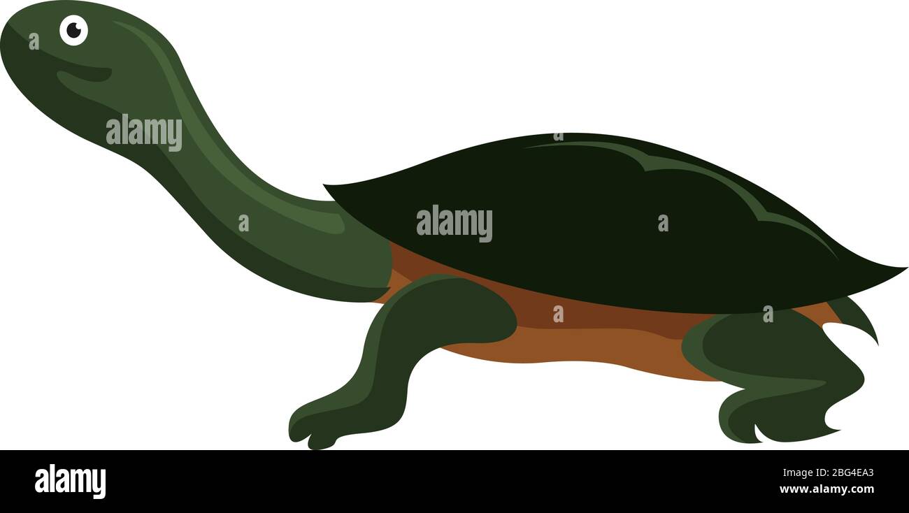 Tortue à col long, illustration, vecteur sur fond blanc Illustration de Vecteur