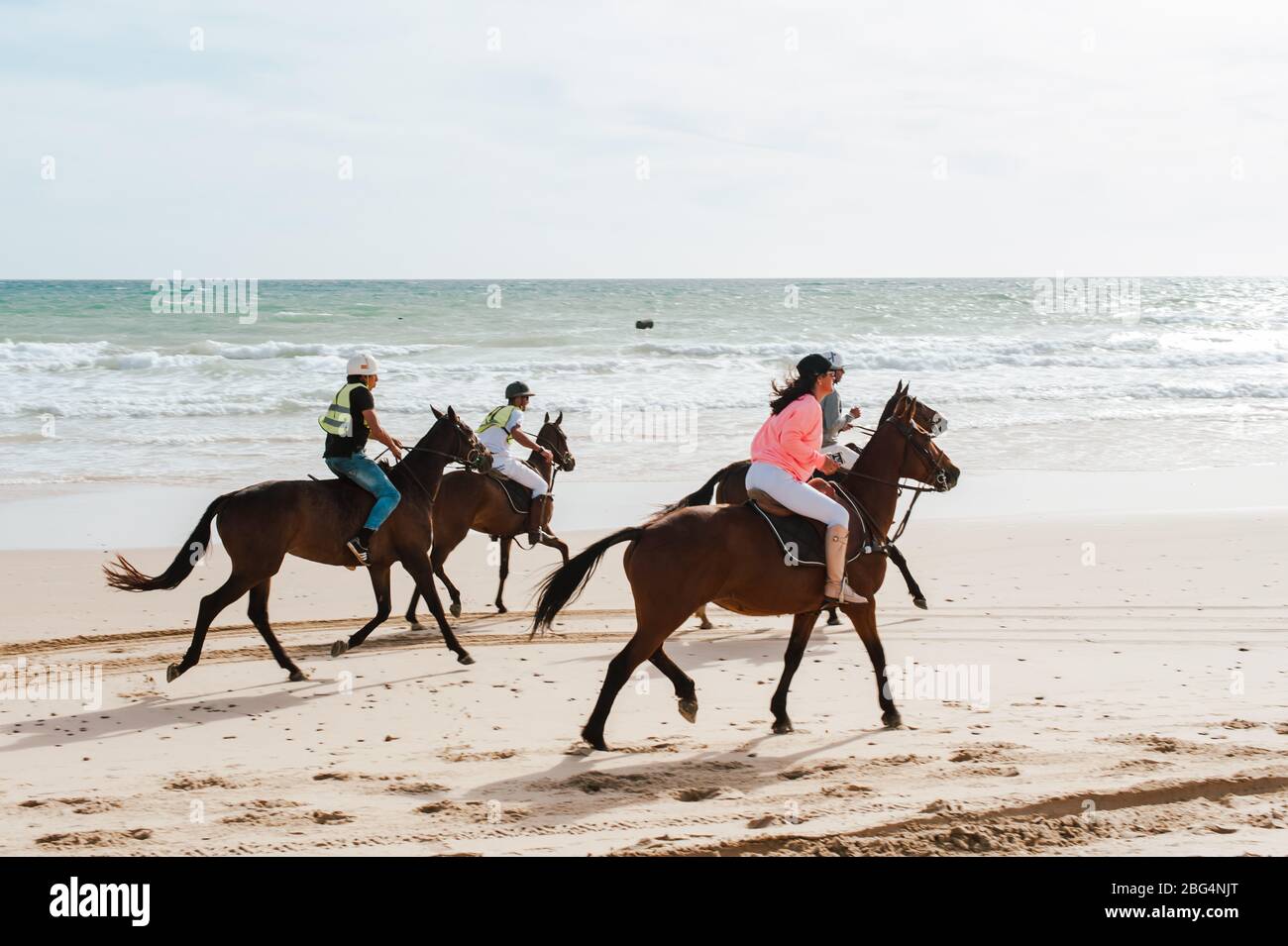 Chevaux andalous qui se dispute sur la plage dans le sud de l'Espagne Banque D'Images