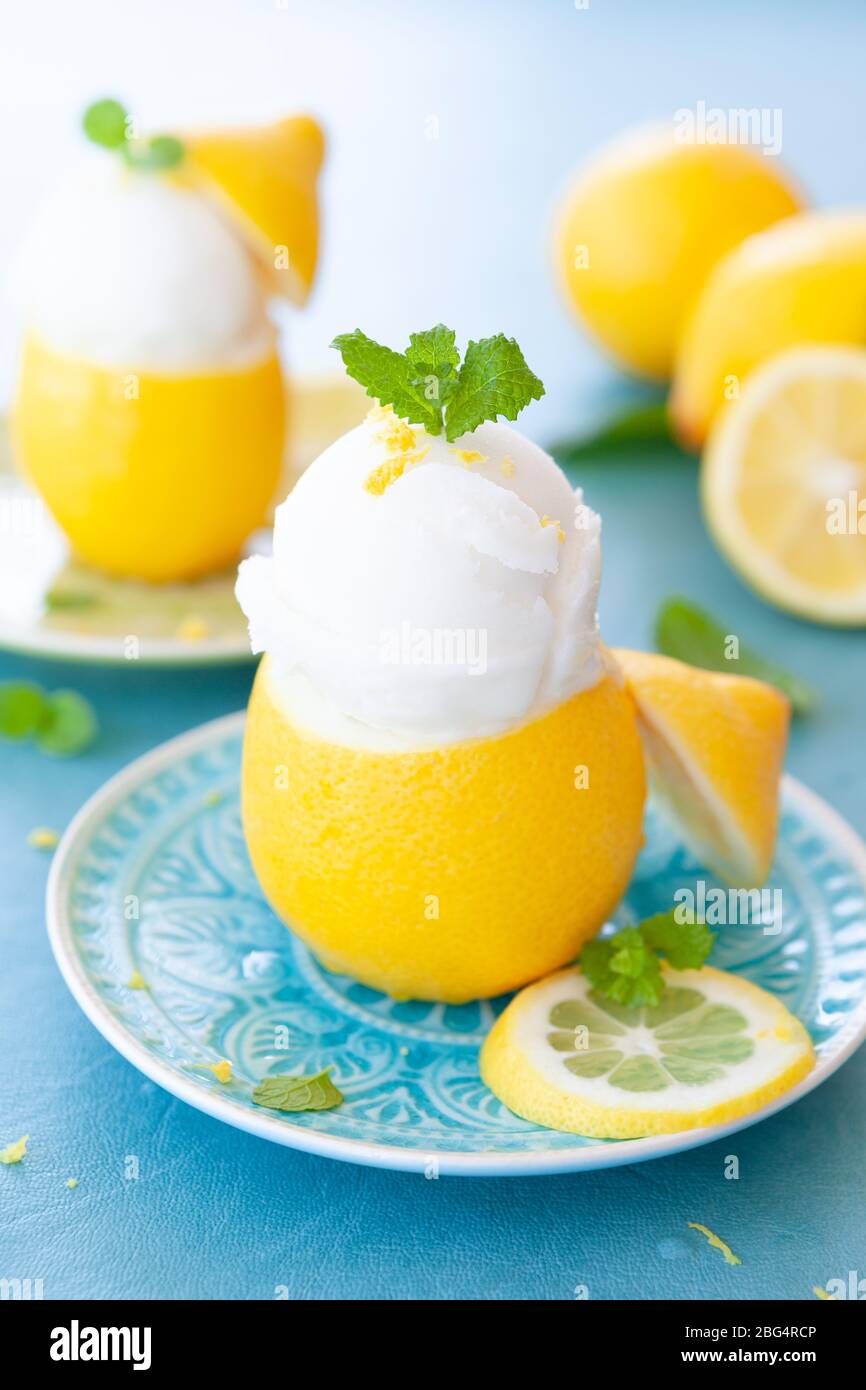 Sorbet glacé au citron avec feuilles de menthe fraîche Banque D'Images