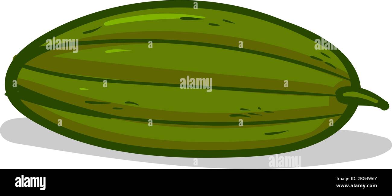 Concombre frais, illustration, vecteur sur fond blanc Illustration de Vecteur