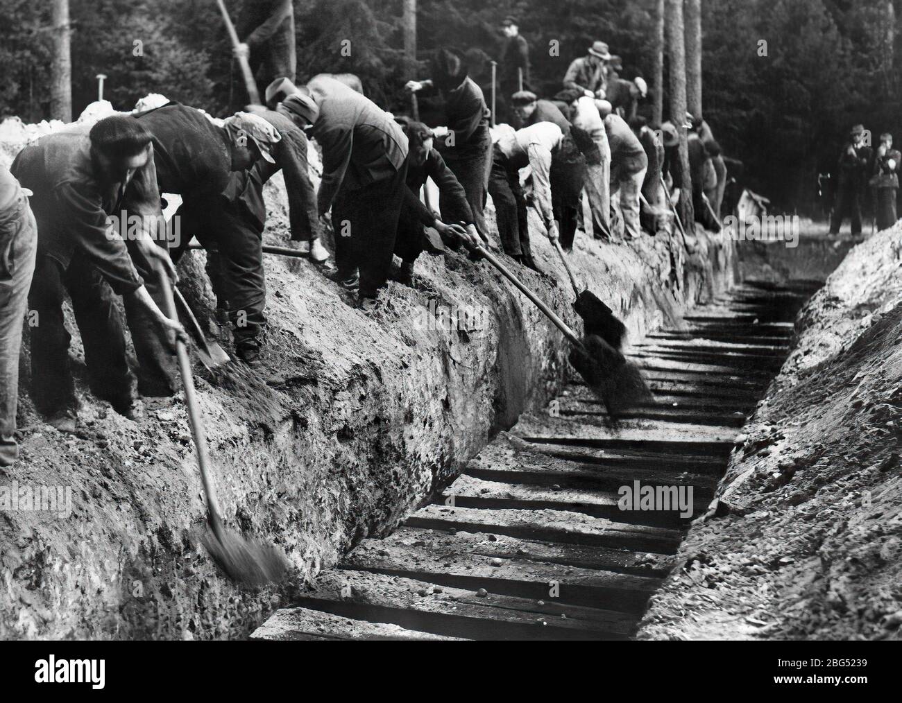 Documentaire de la seconde Guerre mondiale. Les libérateurs britanniques du camp de concentration de Bergen-Belsen obligent les responsables nazis à exhumer et à enterrer correctement les corps d'environ 100 prisonniers politiques qui y ont été tués, en octobre 1945 Banque D'Images