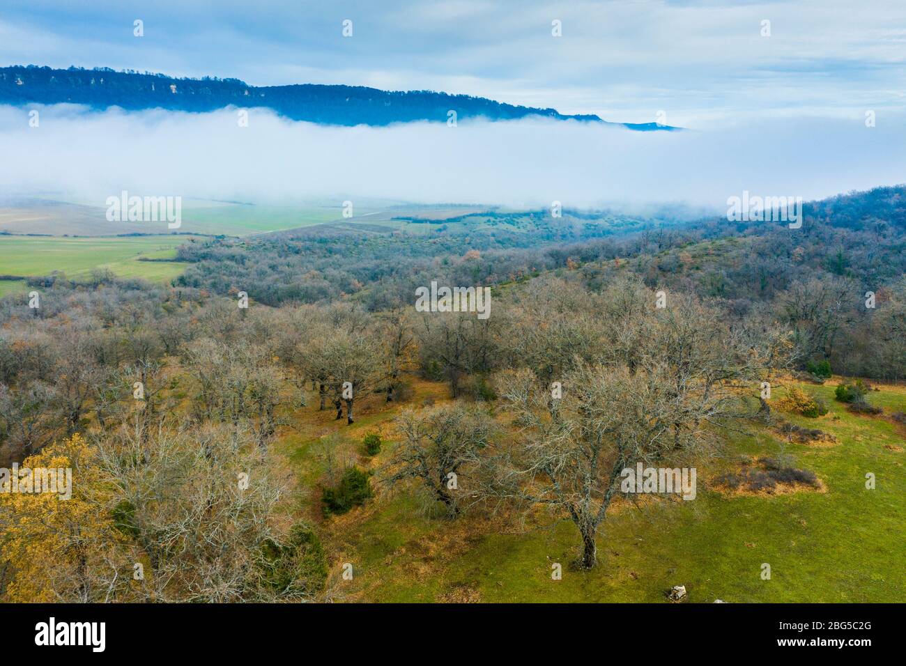 Forêt caduque et brouillard. Vue aérienne. Banque D'Images