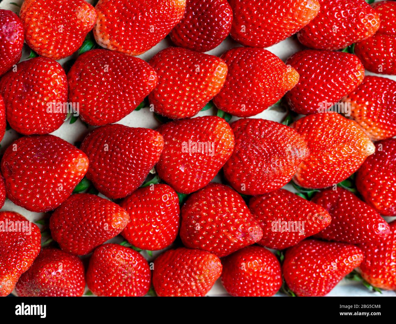 Les fraises du marché hebdomadaire près de ma ville, elles semblent super Banque D'Images