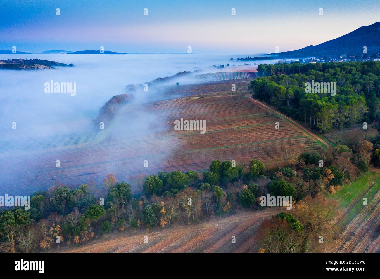 Zone agricole et brouillard. Vue aérienne. Banque D'Images