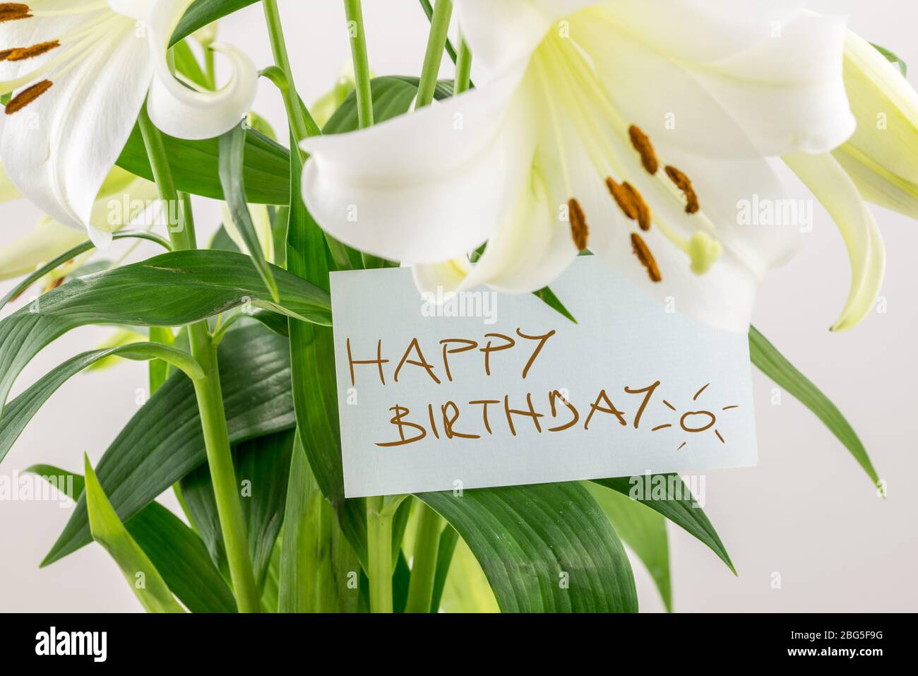 Cadeau de fleurs fraîches pour un anniversaire avec un bouquet de lilas  blanches avec une note manuscrite disant joyeux anniversaire, vue  rapprochée de la note sur le vert le Photo Stock -