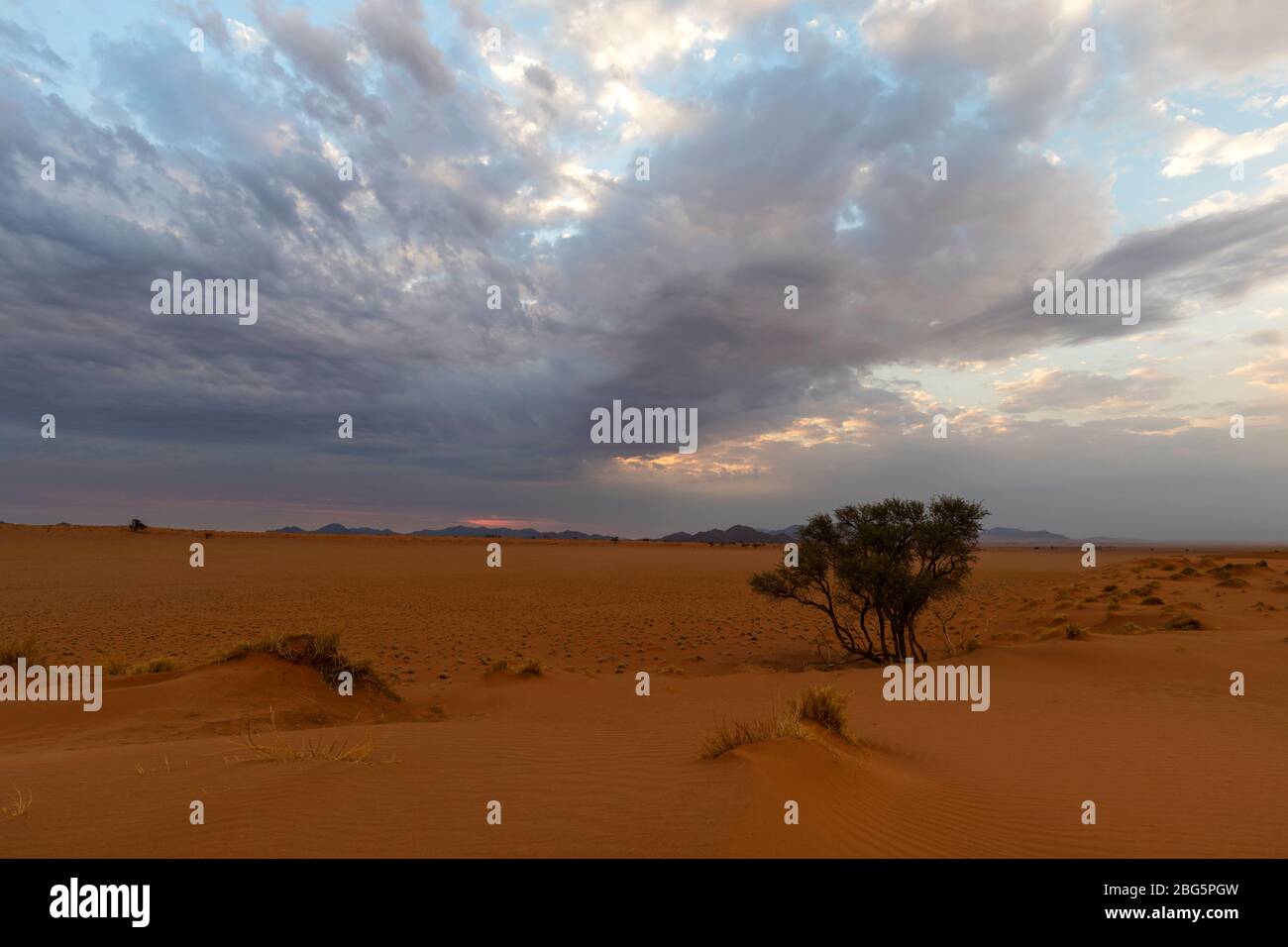 Nuages au coucher du soleil sur le sable rouge du désert Banque D'Images