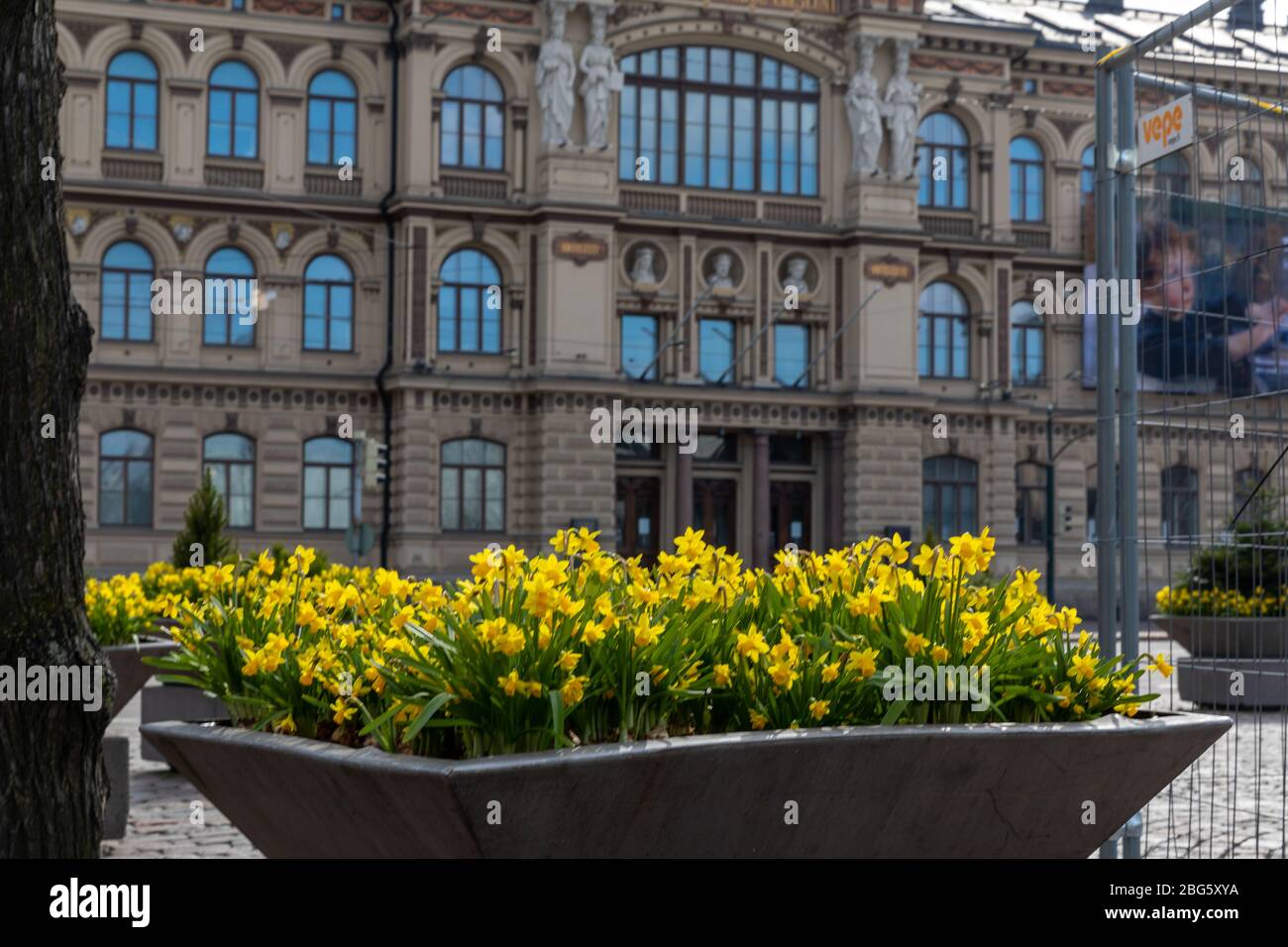 La ville d'Helsinki har a commencé à diffuser des arrangements floraux dans les rues de la ville. Il fait partie de la décoration du quartier du centre-ville pour la saison estivale. Banque D'Images