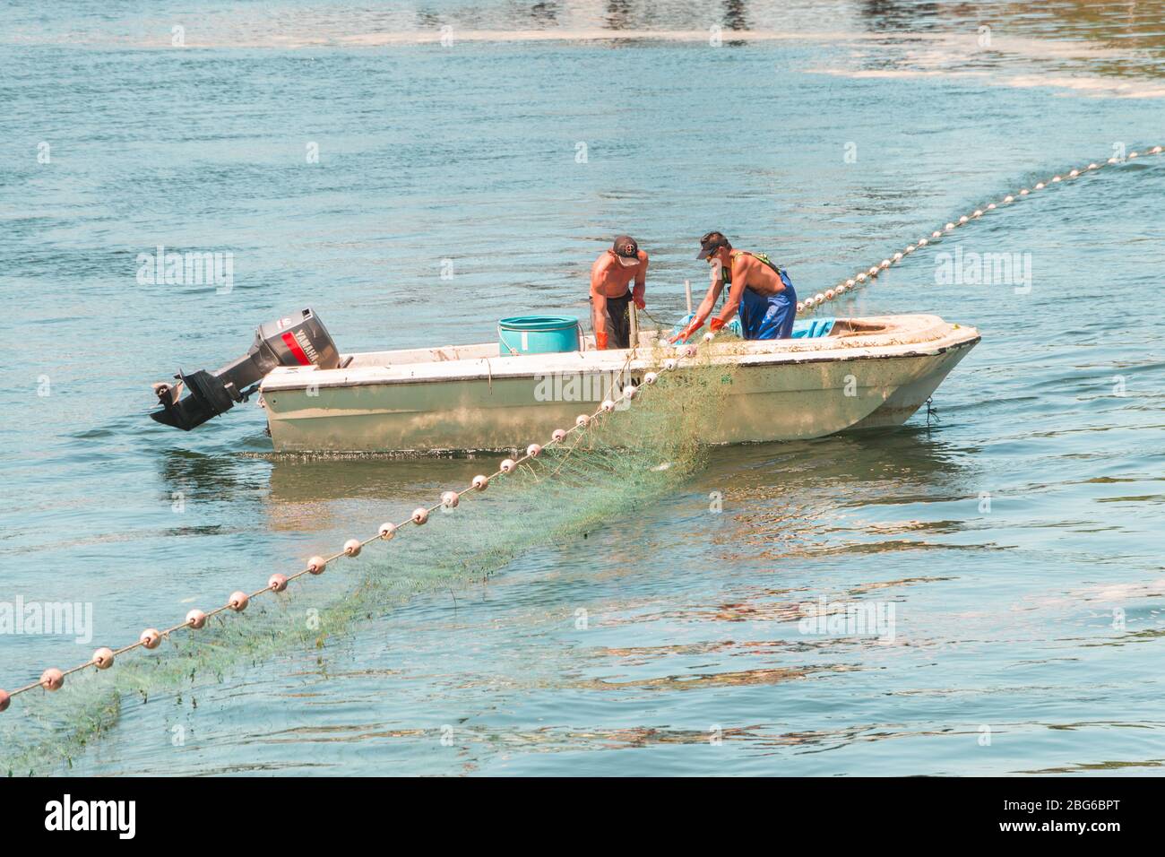 Hommes avec filets attrapant le poisson Banque D'Images
