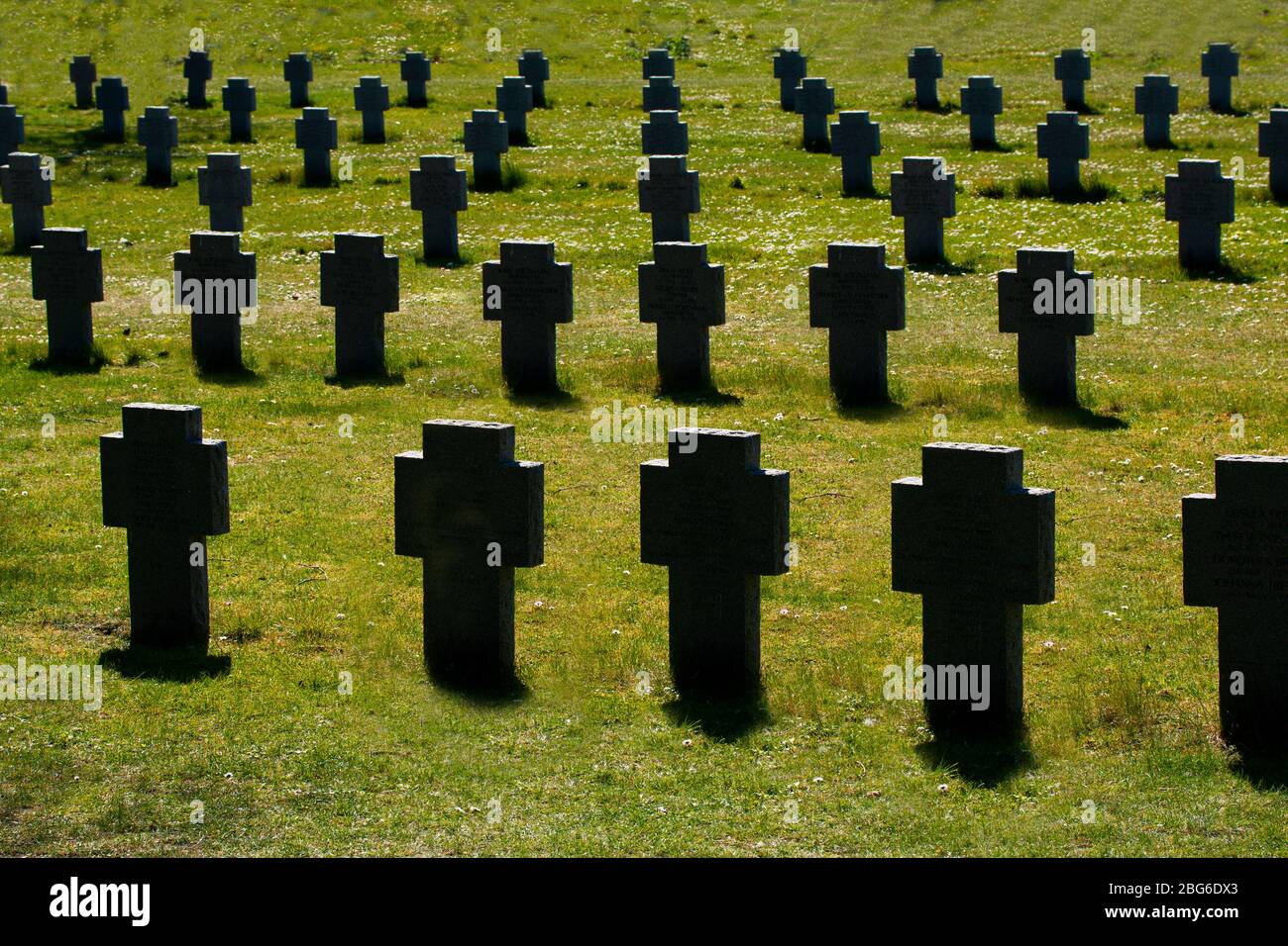 Champ plein avec croix en granit blanc rétroéclairées. Cimetière commémoratif. Hommage aux soldats tombés. Banque D'Images