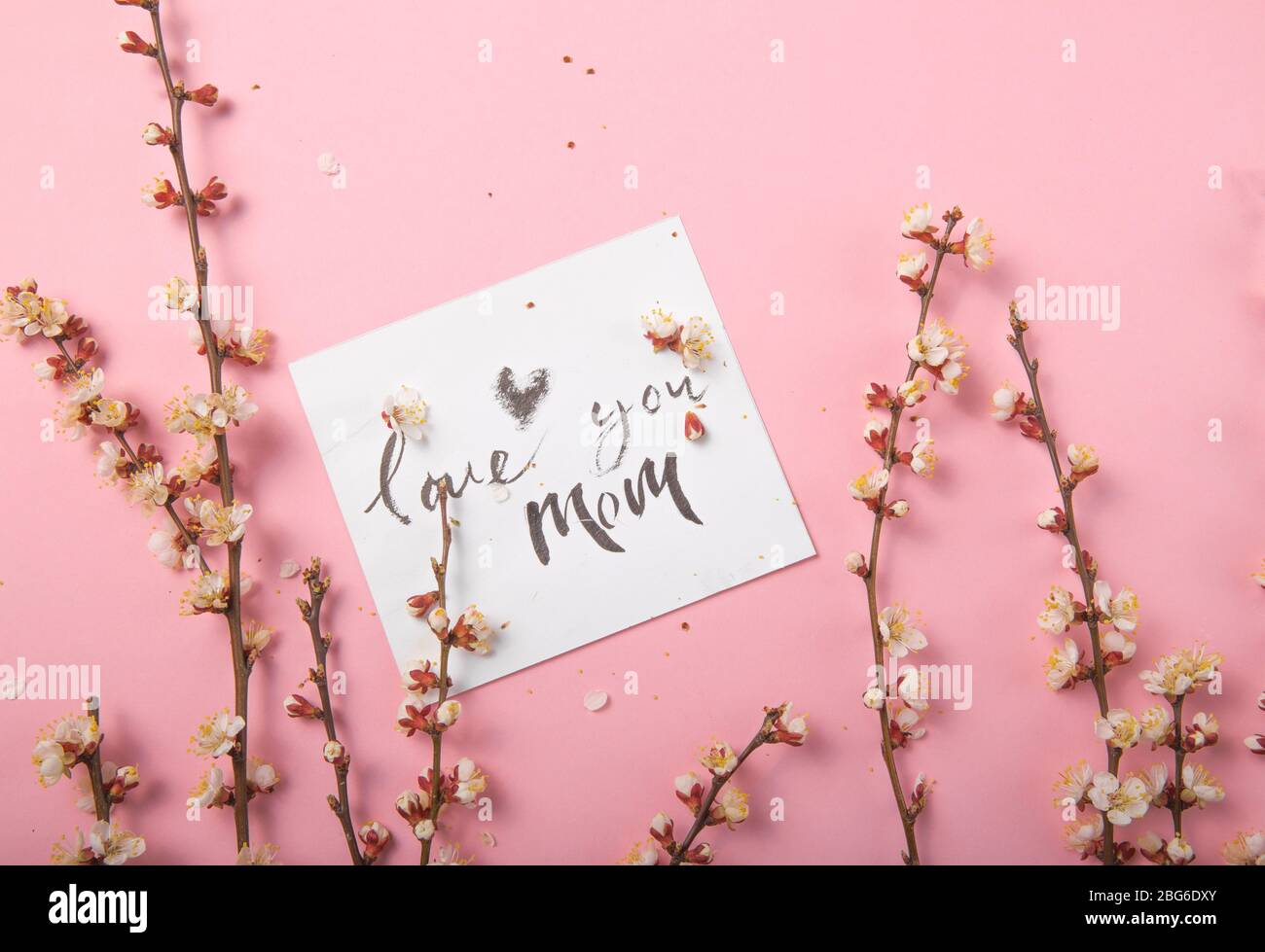 Vous aimez l'inscription manuscrite de maman. Lettrage dessiné à la main, calligraphie. Carte avec fond de brunch de printemps, Saint-Valentin, fête des mères. Banque D'Images