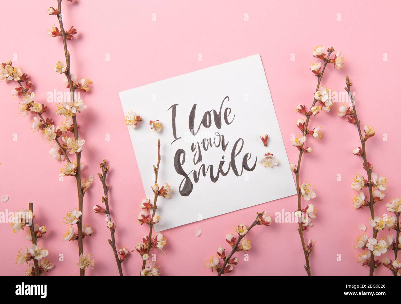 J'aime votre inscription manuscrite sourire. Lettrage dessiné à la main, calligraphie. Carte avec fond de brunch de printemps, Saint-Valentin, fête des mères. Banque D'Images