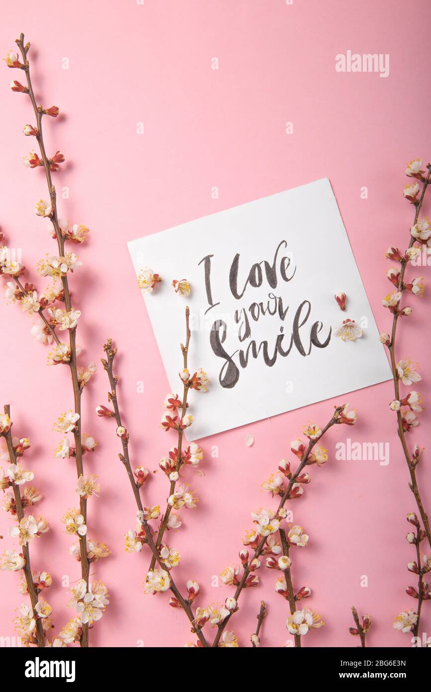 J'aime votre inscription manuscrite sourire. Lettrage dessiné à la main, calligraphie. Carte avec fond de brunch de printemps, Saint-Valentin, fête des mères. Banque D'Images