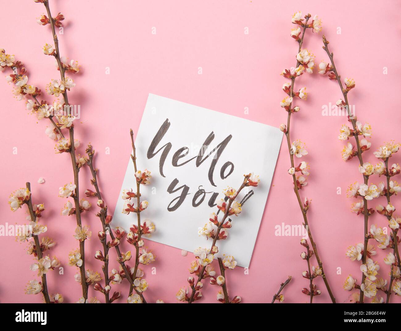 Bonjour mon amour inscription manuscrite. Lettrage dessiné à la main, calligraphie. Carte avec fond brunch arbre de printemps, Saint-Valentin Banque D'Images