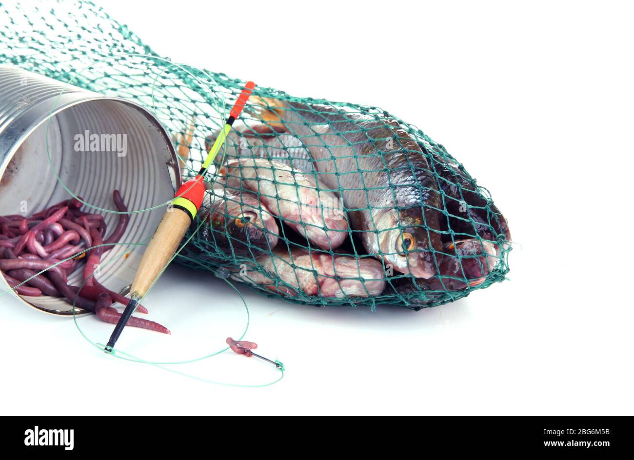 Poissons dans le filet de pêche isolés sur blanc Banque D'Images