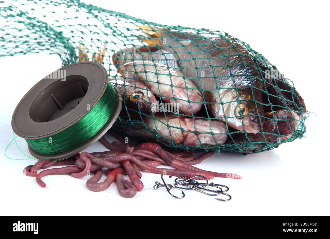 Poissons dans le filet de pêche isolés sur blanc Banque D'Images