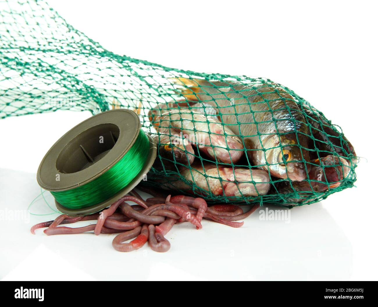 Poissons dans le filet de pêche isolés sur blanc Banque D'Images