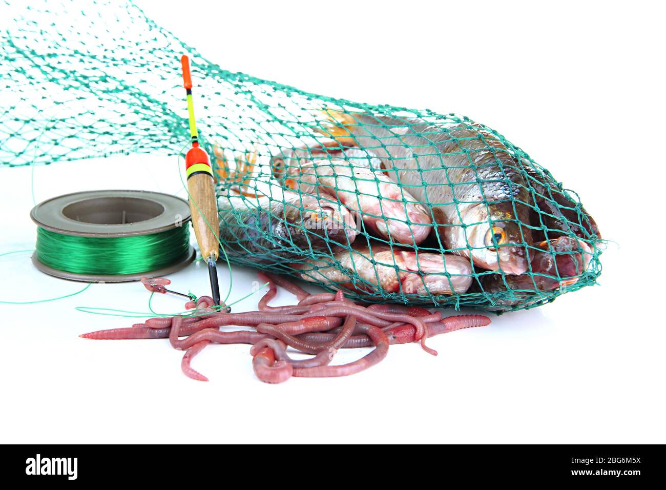 Poissons dans le filet de pêche isolés sur blanc Banque D'Images