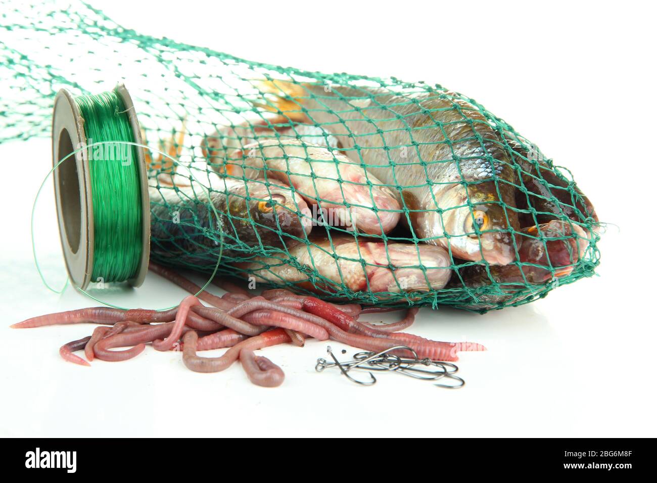 Poissons dans le filet de pêche isolés sur blanc Banque D'Images