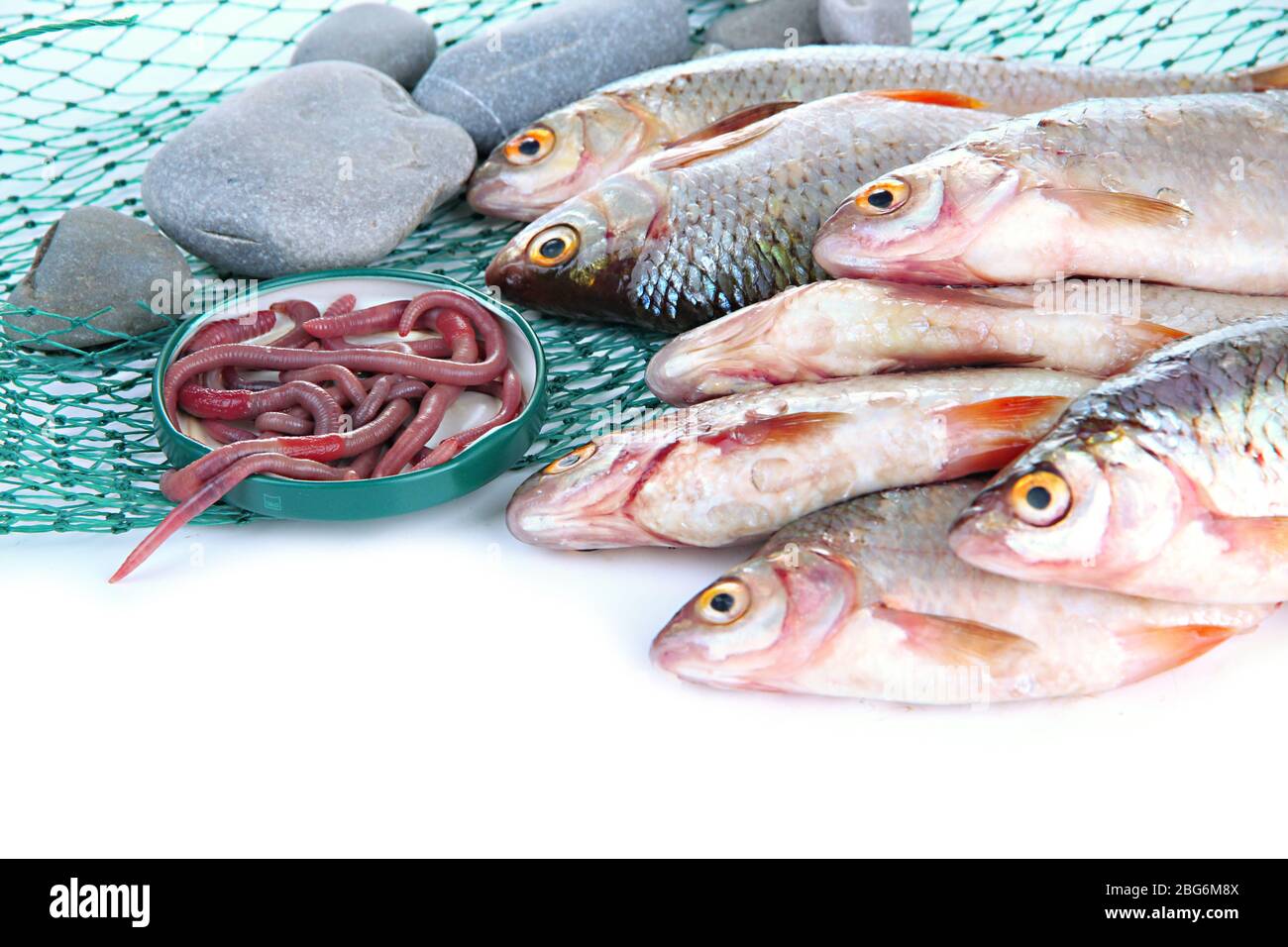 Poissons et filet isolés sur blanc Banque D'Images