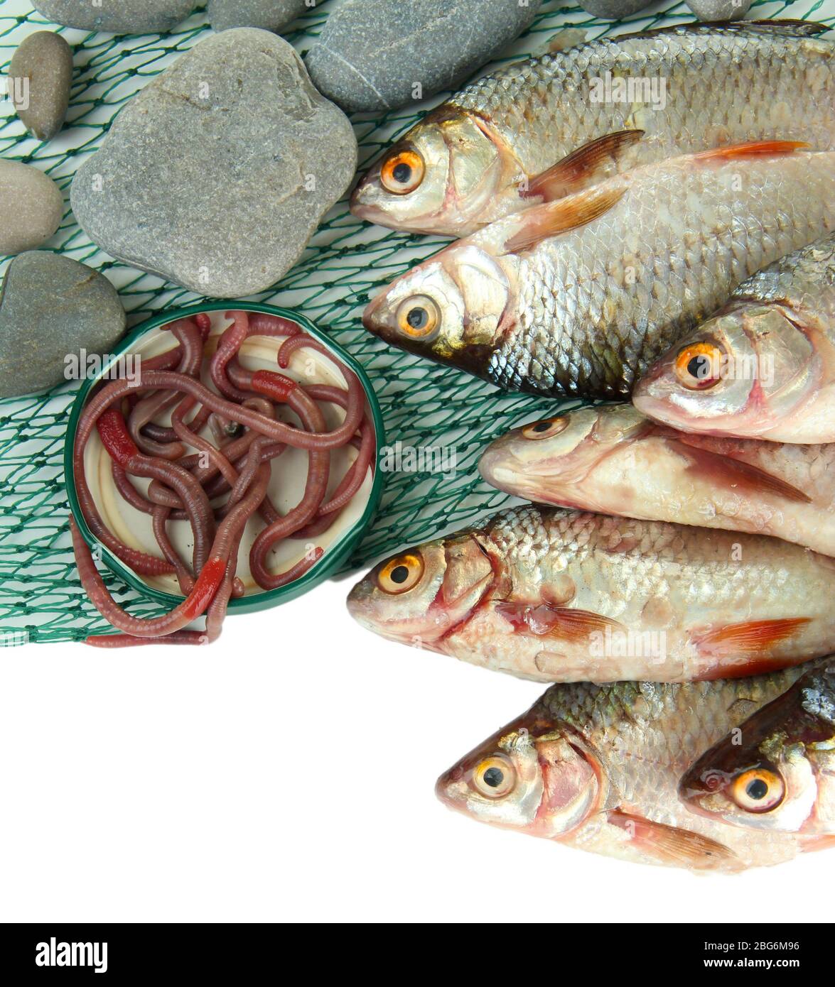 Poissons et filet isolés sur blanc Banque D'Images