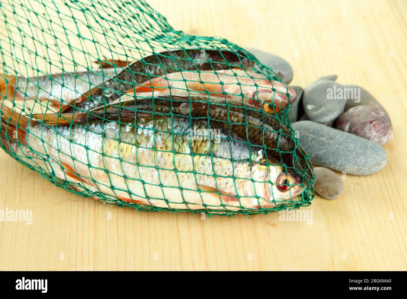 Poissons dans filet de pêche sur fond de bois Banque D'Images