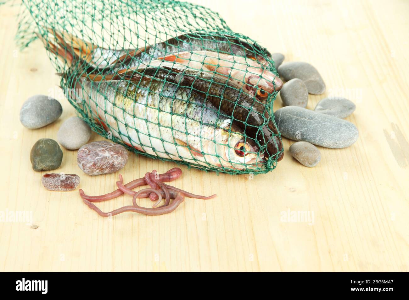Poissons dans filet de pêche sur fond de bois Banque D'Images