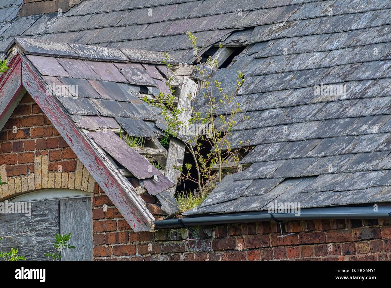 Tuiles endommagées de toiture en ardoise sur un toit piqué sur une maison abandonnée Banque D'Images