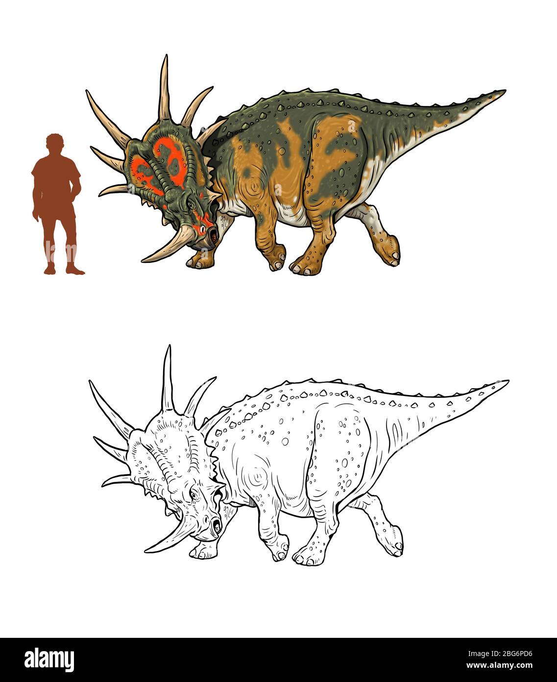 Dinosaure herbivore - Styracosaurus. Comparaison entre le dinosaure et l'homme. Page coloration Dino. Banque D'Images