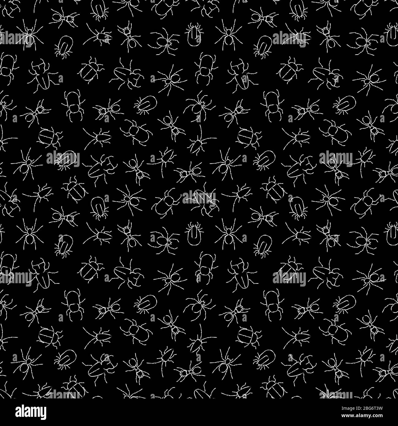 Craie blanche qui dessine des insectes sur un fond noir sans couture. Illustration vectorielle Illustration de Vecteur