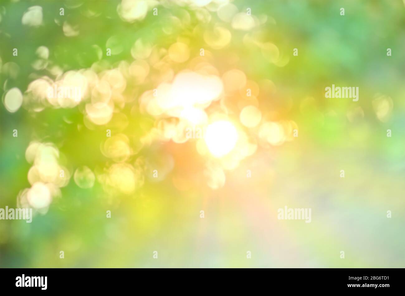 Vert nature flou abstrait arrière-plan. Bokeh flou naturel. Banque D'Images