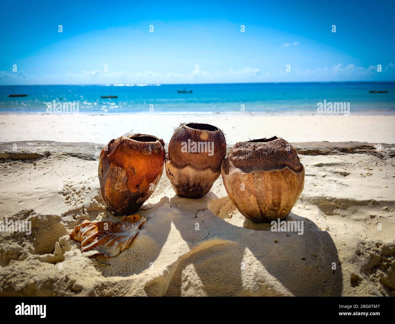 Trois coconuts dans le sable sur une plage au Kenya, en Afrique. En arrière-plan se trouve l'océan Indien. C'est un paradis tropical. Banque D'Images