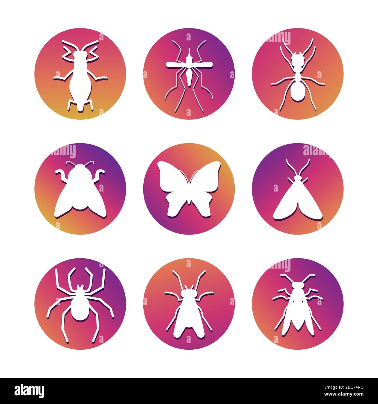 Silhouettes d'insectes blancs sur les rondes de coloful. Jeu d'icônes d'insectes populaires. Illustration vectorielle Illustration de Vecteur