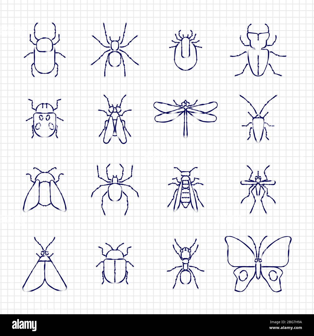 Dessiner ligne de dessin collection d'icônes d'insectes sur feuille de papier. Illustration vectorielle Illustration de Vecteur