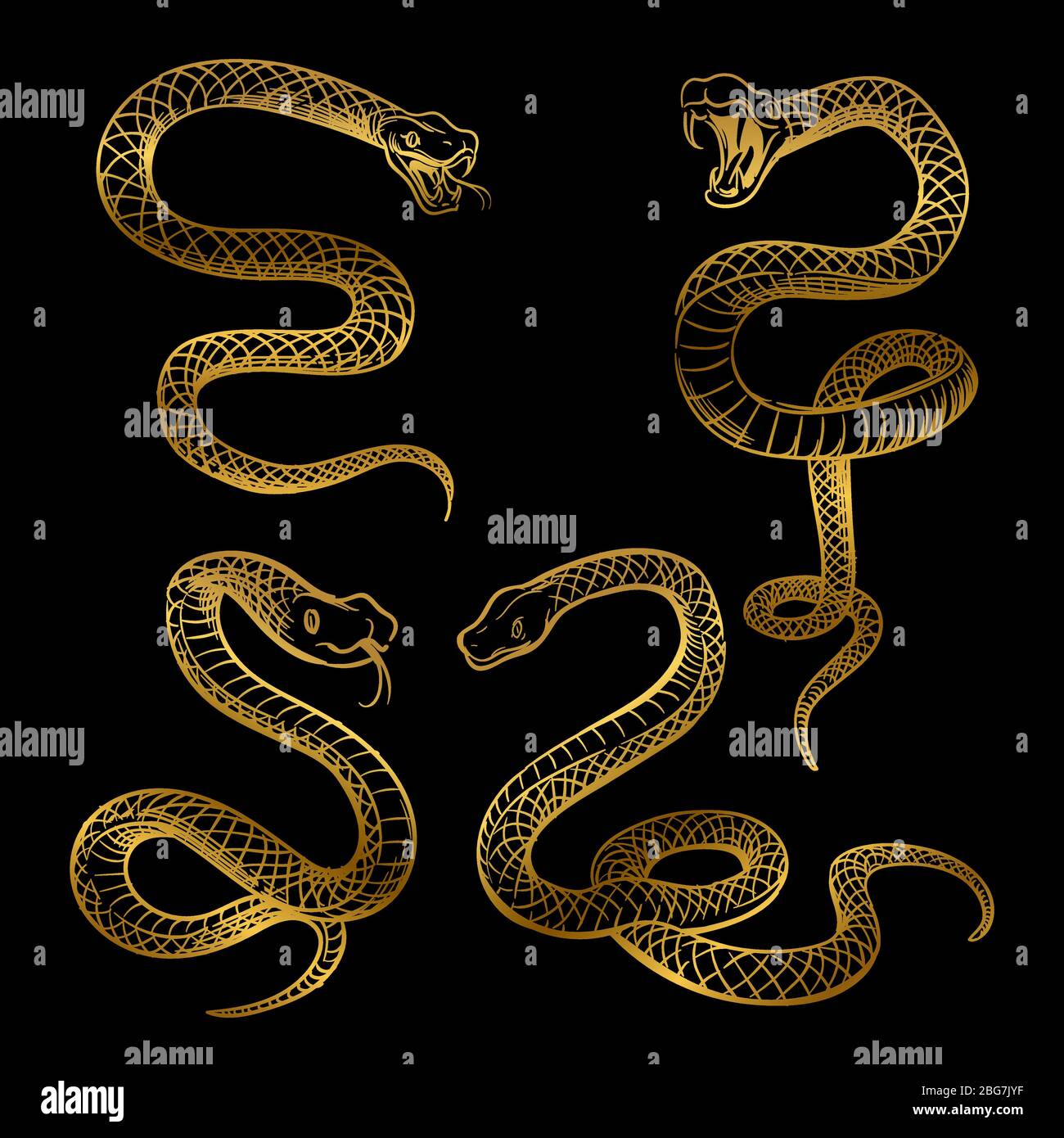 Ensemble serpent doré. Serpents tirés à la main isolés sur fond noir. Illustration vectorielle Illustration de Vecteur