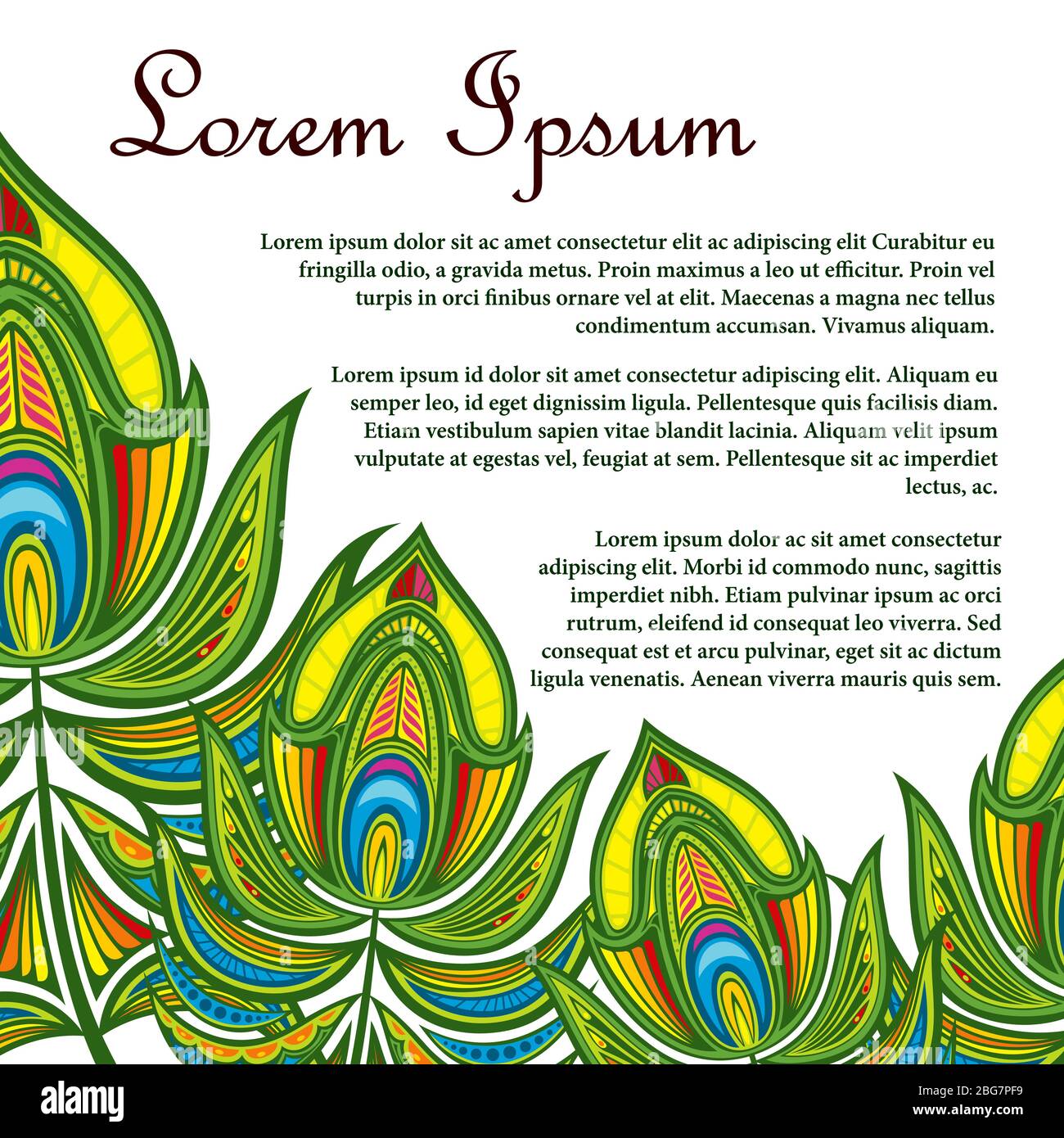 Bannière orientale à motif vectoriel sur fond avec illustration des plumes d'oiseaux de paon colorées Illustration de Vecteur