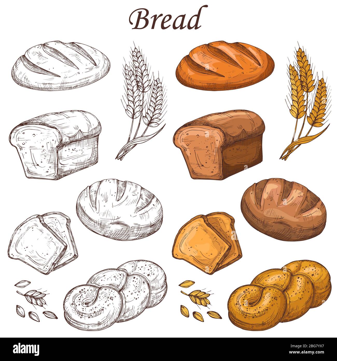 Éléments vectoriels de boulangerie en ligne et en couleur. Pain isolé sur fond blanc. Pain pour le petit déjeuner, illustration de la collation fraîche Illustration de Vecteur