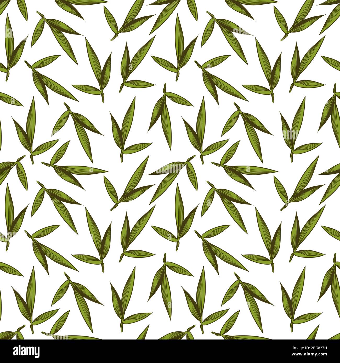 Le vert esquissé vintage laisse un motif transparent sur le blanc. Illustration de la conception vectorielle d'arrière-plan du feuillage Illustration de Vecteur Le vert esquissé vintage laisse un motif transparent sur le blanc. Illustration de la conception vectorielle d'arrière-plan du feuillage Illustration de Vecteur