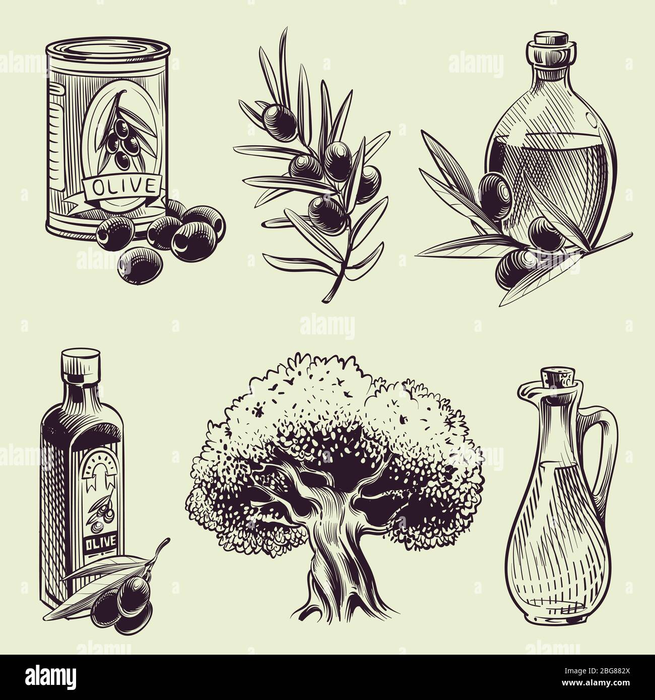 Olives à dessin à la main. Olive vintage branches bouteilles d'huile et CAN. Ensemble vectoriel de récolte de nourriture méditerranéenne. Huile d'olive biologique, branche de plante avec feuille Illustration de Vecteur