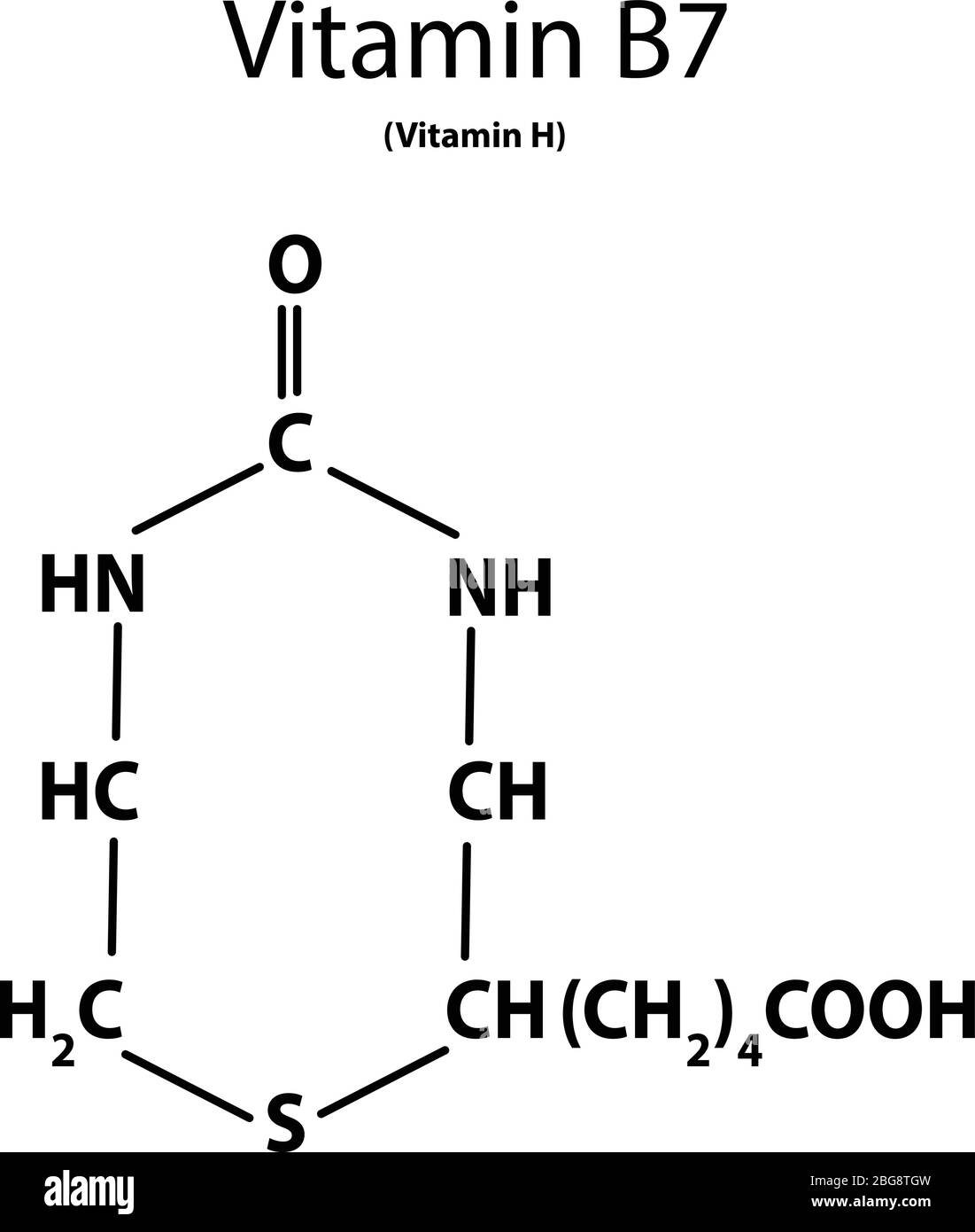 Vitamine B 7. Biotine Formule chimique moléculaire. Infographies. Illustration vectorielle sur un arrière-plan isolé. Illustration de Vecteur