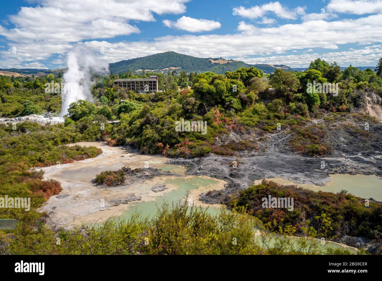 Vallée de Whakarewarewa, Rotorua, Île du Nord Nouvelle-Zélande Banque D'Images