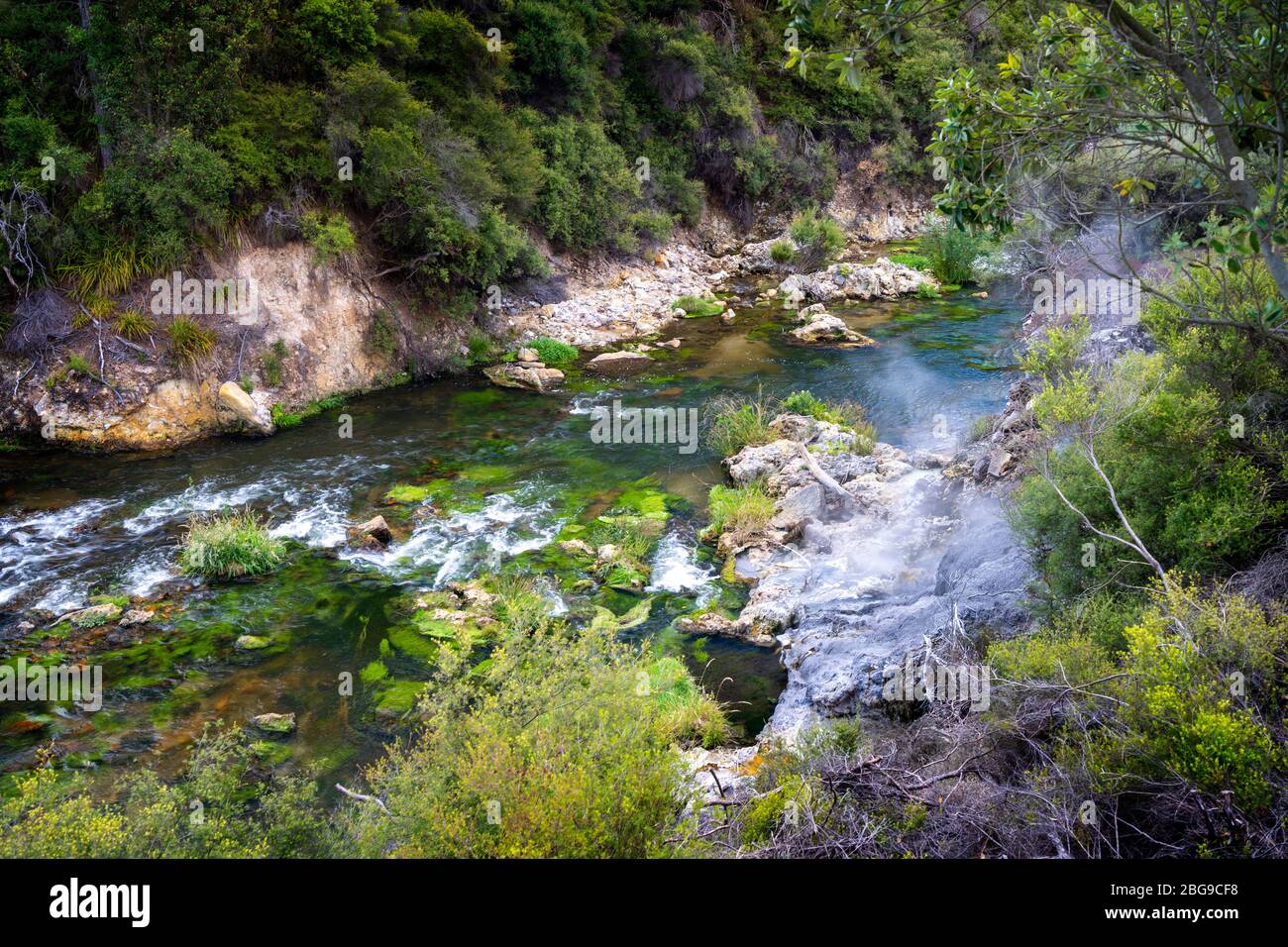 Puarenga Stream, Whakarewarewa Valley, Rotorua, Île du Nord Nouvelle-Zélande Banque D'Images