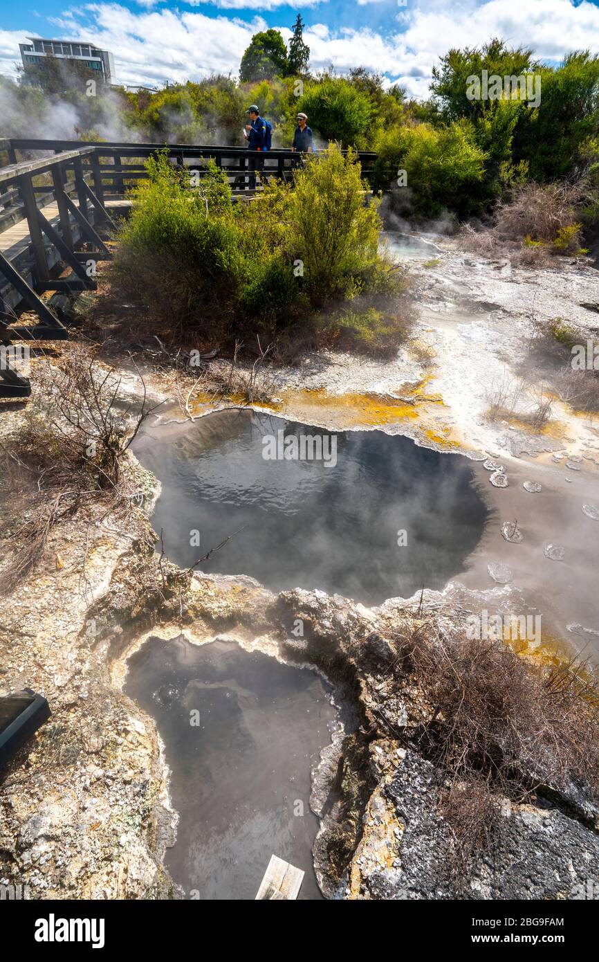 Source chaude géothermique, vallée de Whakarewarewa, Rotorua, île du Nord Nouvelle-Zélande Banque D'Images