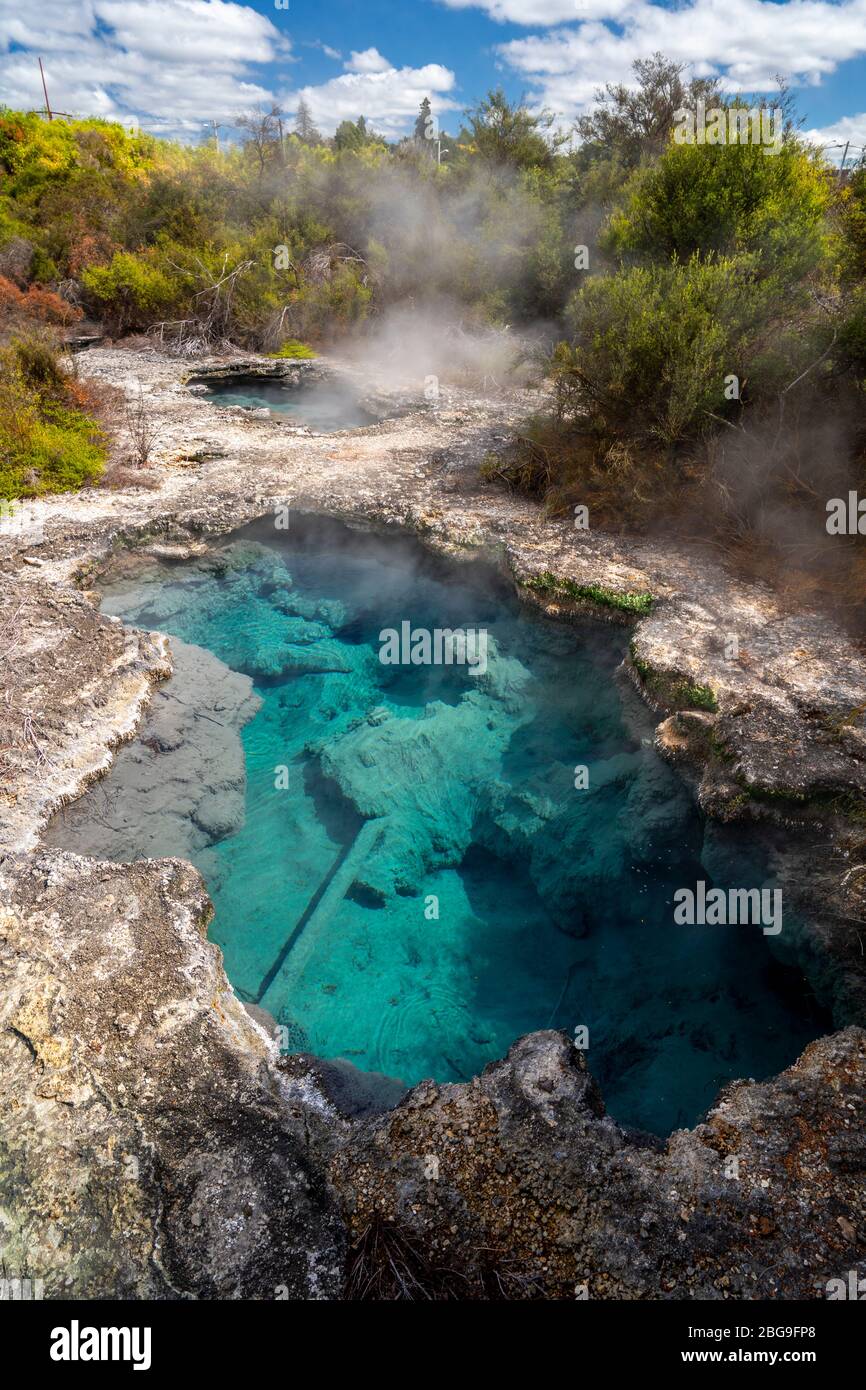 Source chaude géothermique, vallée de Whakarewarewa, Rotorua, île du Nord Nouvelle-Zélande Banque D'Images