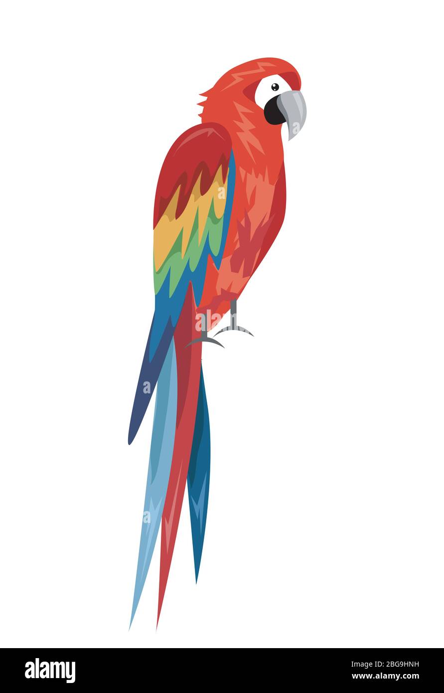 Perroquet coloré, motif oiseaux de bande dessinée Illustration de Vecteur